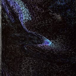 Inverted Swipe 10